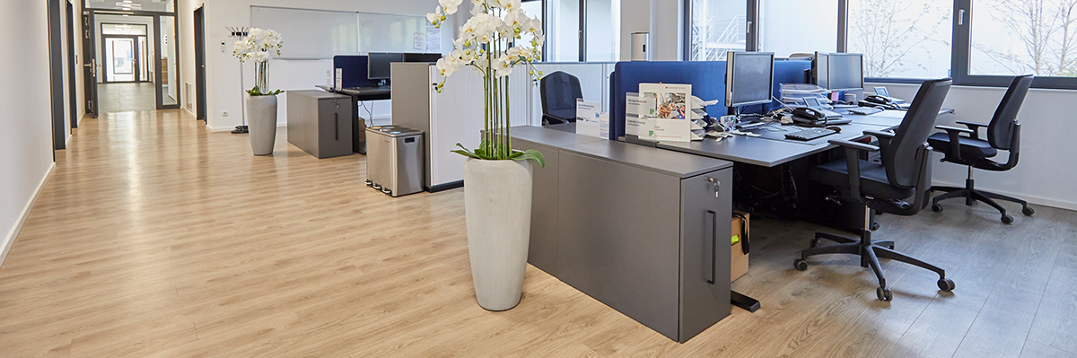 Projektassistent (m/w/d) Projektassistent (m/w/d)